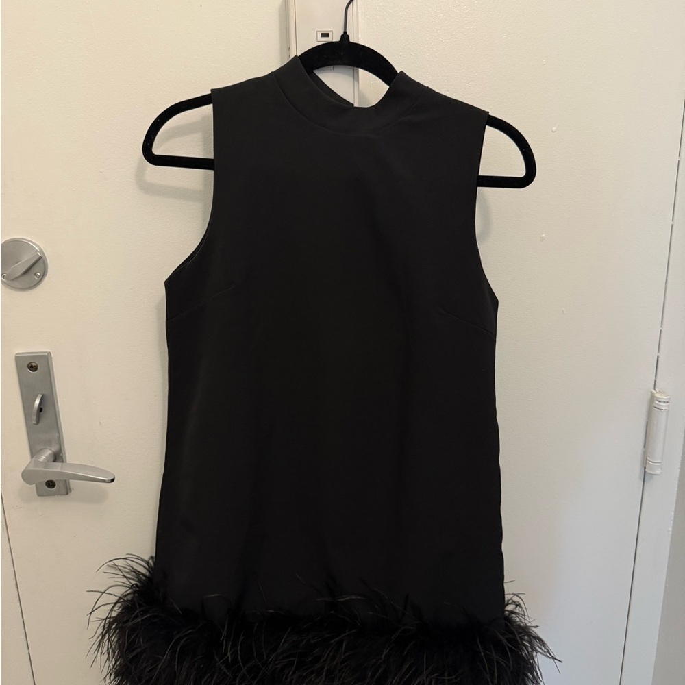 Elegant Black Sleeveless Dress with Feather Trim